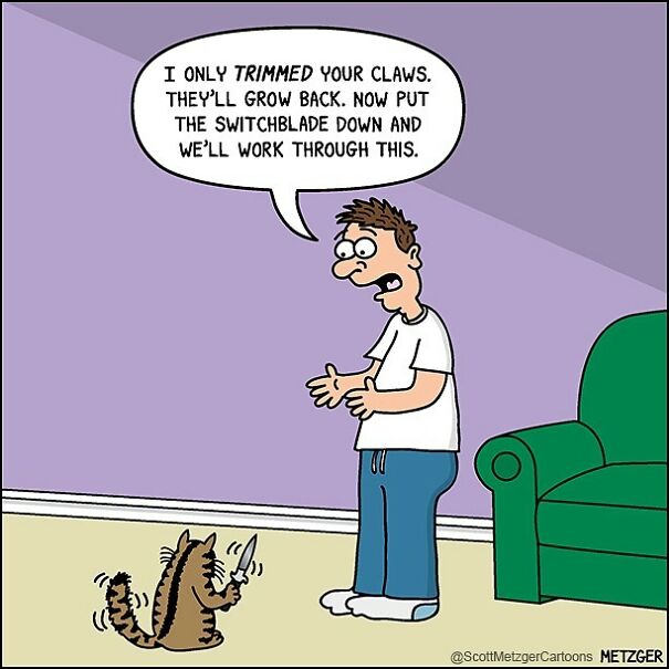 Funny Cat Comics By Scott Metzger That Might Make Every Cat Owner Cry With Laughter (New Pics)