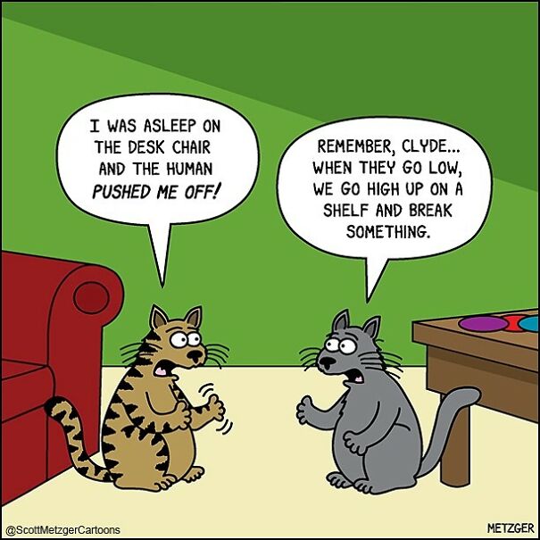 Funny Cat Comics By Scott Metzger That Might Make Every Cat Owner Cry With Laughter (New Pics)