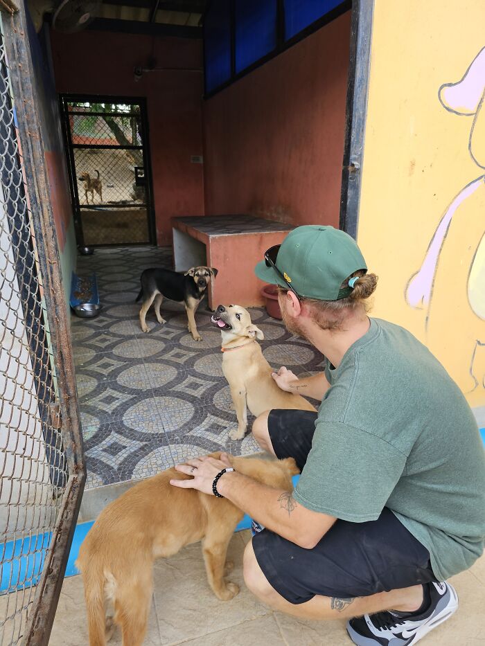 My Husband Found His Calling To Help Dogs Through My Work