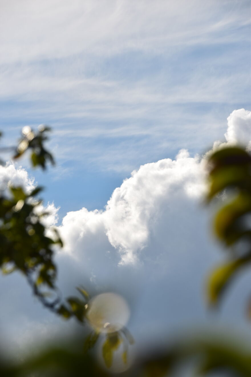 Cumulus Congestus