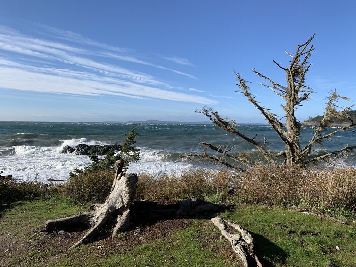 Nature Pictures On Whidbey Island That I Took