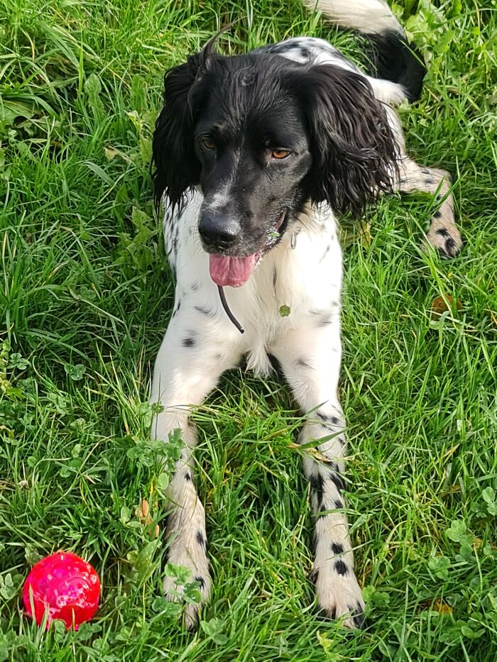 Me And My New Ball