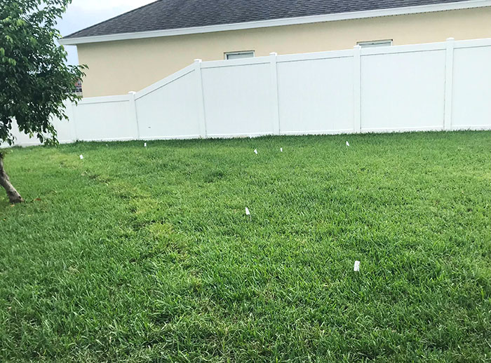 My Dad Refuses To Clean Up Dog's Poop But Goes Through The Effort Of Putting A Flag By Each Pile