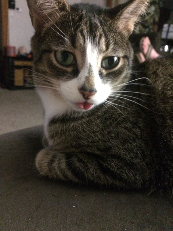 Jack Blep