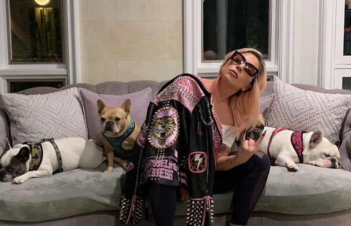 Lady Gaga Introduces New Pup Three Years After "Violent" Dognapping Horror