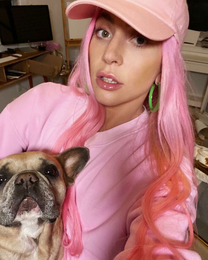 Lady Gaga Introduces New Pup Three Years After "Violent" Dognapping Horror