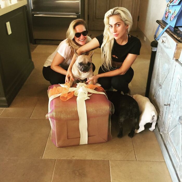 Lady Gaga Introduces New Pup Three Years After "Violent" Dognapping Horror