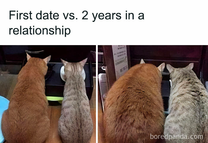  A love meme featuring two side-by-side images of two cats eating together. The text above the images reads, "First date vs. 2 years in a relationship." The left image shows the cats on their first date, looking slimmer, while the right image shows the same cats two years later, looking noticeably plumper. The background and setting remain the same in both images.