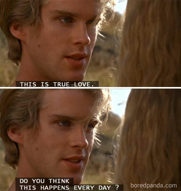 A love meme featuring two scenes from the movie "The Princess Bride." In both images, the character Westley is speaking to Princess Buttercup. The text on the first image reads, "THIS IS TRUE LOVE." The text on the second image reads, "DO YOU THINK THIS HAPPENS EVERY DAY?" The background shows an outdoor setting with natural light.