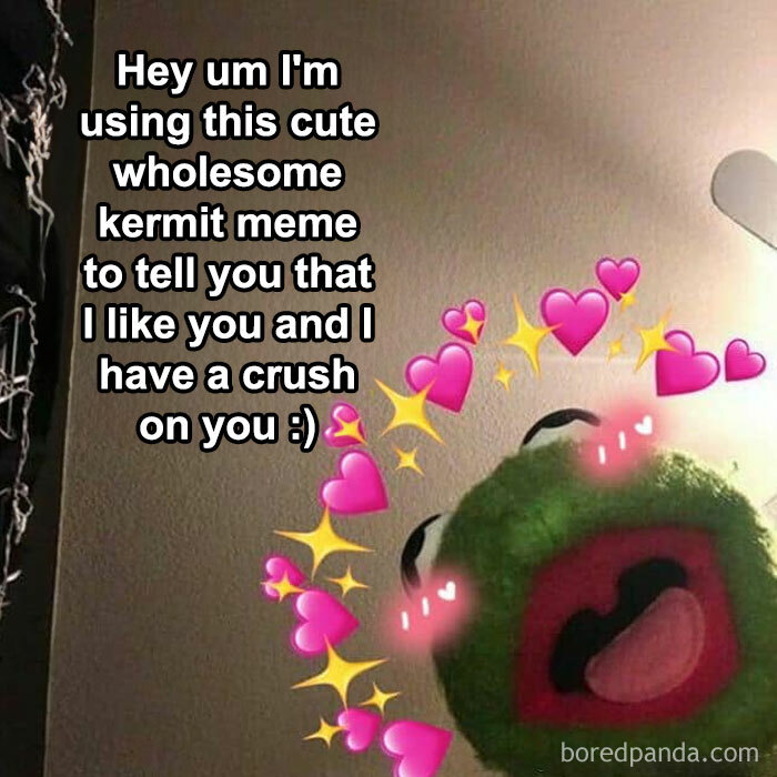 A love meme featuring a close-up of Kermit the Frog with his mouth open, surrounded by pink heart and sparkle emojis. The text on the image reads, "Hey um I'm using this cute wholesome Kermit meme to tell you that I like you and I have a crush on you ;)" The background shows a ceiling with a light fixture.