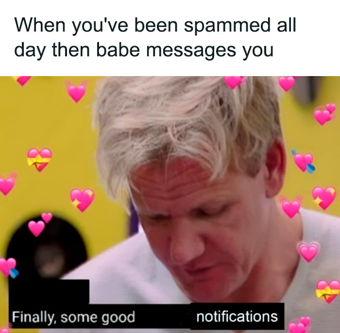 A love meme featuring a scene with Gordon Ramsay. The text above the image reads, "When you've been spammed all day then babe messages you." The image shows Gordon Ramsay looking down, surrounded by pink heart emojis. The caption at the bottom reads, "Finally, some good notifications," with the words "notifications" replacing "food" from the original meme.