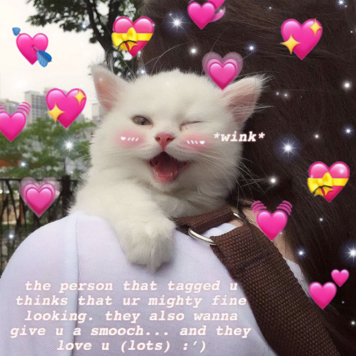 A love meme featuring a winking white kitten with pink blush marks, sitting on someone's shoulder. The background is filled with pink heart emojis and sparkles. The text on the image reads, "wink the person that tagged u thinks that ur mighty fine looking. they also wanna give u a smooch... and they love u (lots) :')" The setting appears to be outdoors with some trees and buildings in the background.