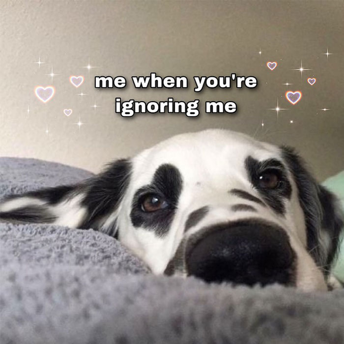 A love meme featuring a close-up of a dog's face lying on a bed, looking sad. The text above the dog's head reads, "me when you're ignoring me." The background includes small heart and sparkle emojis, adding a touch of affection and playfulness to the image.