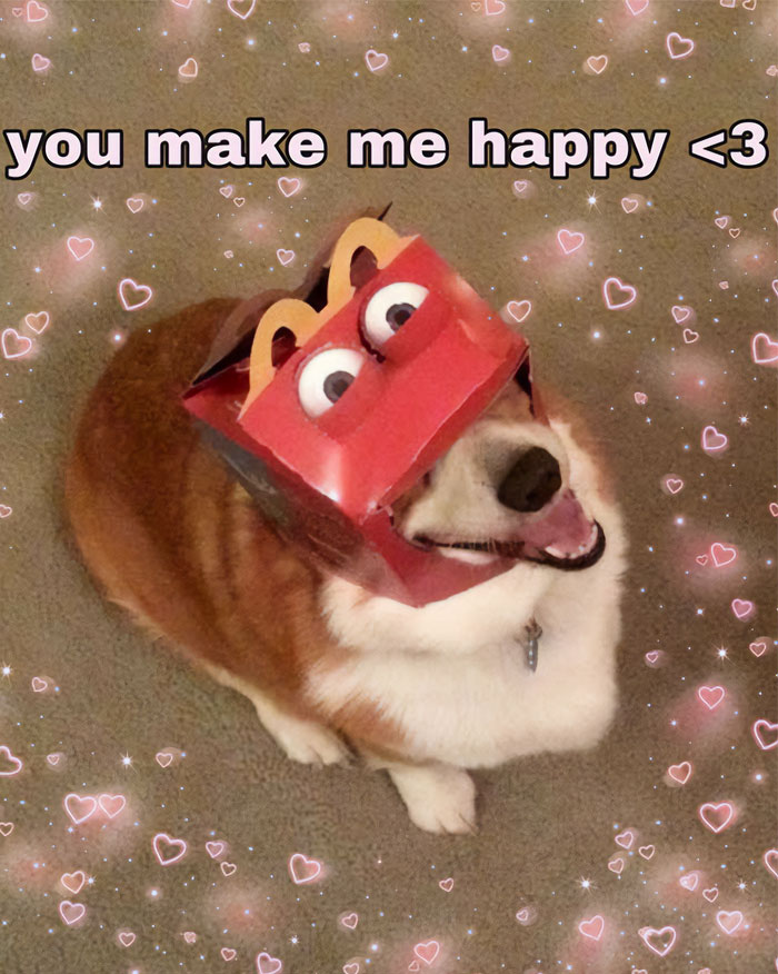 A love meme featuring a happy dog wearing a McDonald's Happy Meal box on its head. The text above the image reads, "you make me happy 