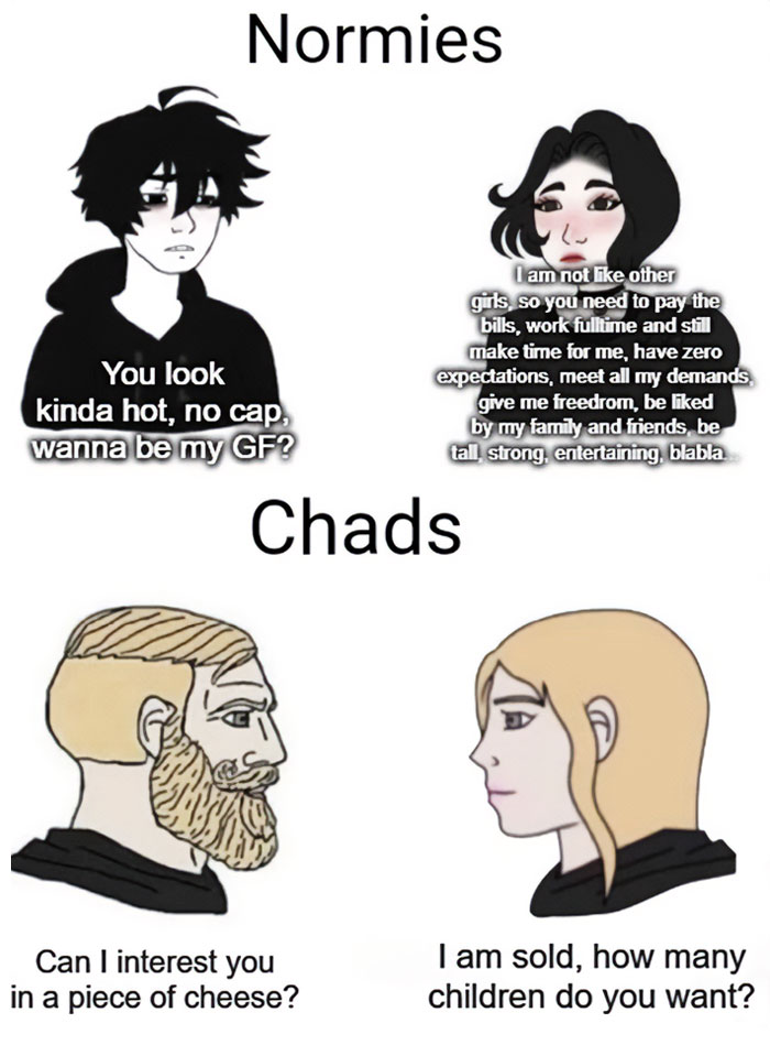 A love meme featuring two sections labeled "Normies" and "Chads." The "Normies" section has a cartoon boy with messy black hair saying, "You look kinda hot, no cap, wanna be my GF?" The girl with black hair responds with a lengthy list of demands. The "Chads" section shows a cartoon man with a blonde beard asking, "Can I interest you in a piece of cheese?" and a blonde woman responding, "I am sold, how many children do you want?"