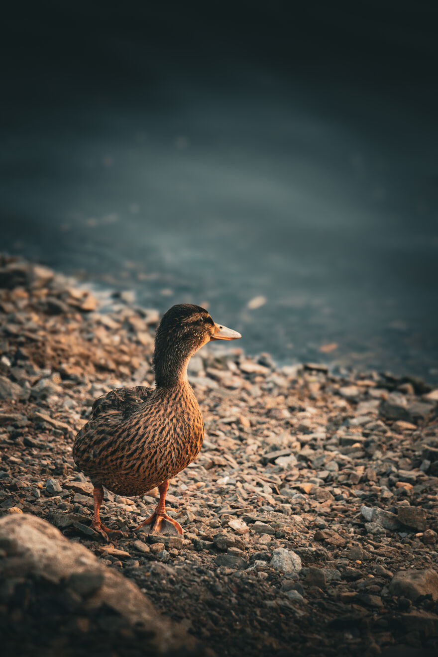 A Teal And Orange Filmic Lightroom Preset I've Been Working On