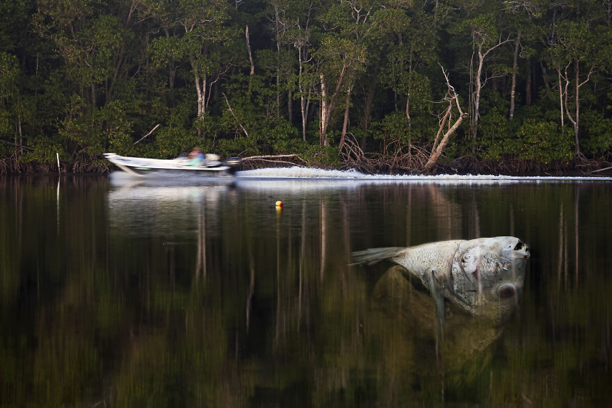 "We Go Faster Than Nature" By Hector Cordero, USA