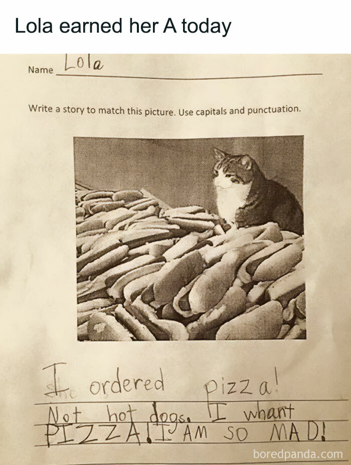 Meme of the day: The image shows a school assignment where a student named Lola was asked to write a story to match a picture of a cat sitting among a large pile of hot dogs. Lola's story reads, "I ordered pizza! Not hot dogs. I want pizza! I am so mad!" The text above the image reads, "Lola earned her A today." The meme humorously highlights Lola's creative and emphatic response to the assignment.