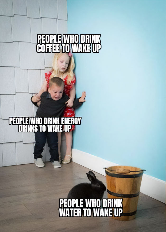 Meme of the day: The image shows two children looking terrified and pressed against a wall, with a small black rabbit calmly sitting near a bucket on the floor. The text above the children reads, "PEOPLE WHO DRINK COFFEE TO WAKE UP" and "PEOPLE WHO DRINK ENERGY DRINKS TO WAKE UP." The text above the rabbit reads, "PEOPLE WHO DRINK WATER TO WAKE UP." The meme humorously contrasts the intense reactions of those who need strong stimulants to wake up with the calm demeanor of those who simply drink water.