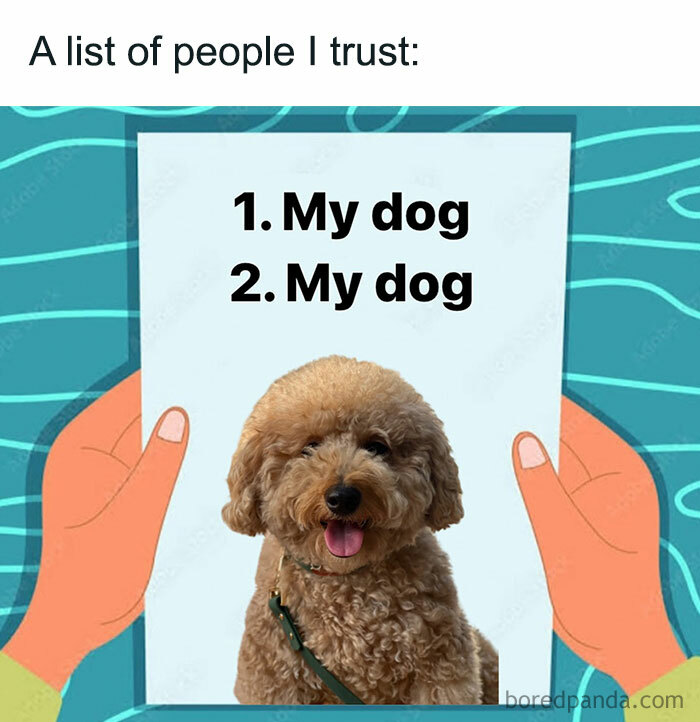 Meme of the day: The image shows a cartoon hand holding a paper with a picture of a happy, fluffy dog at the bottom. The text on the paper reads, "A list of people I trust: 1. My dog 2. My dog." The meme humorously emphasizes the trustworthiness and loyalty of a beloved pet over anyone else.