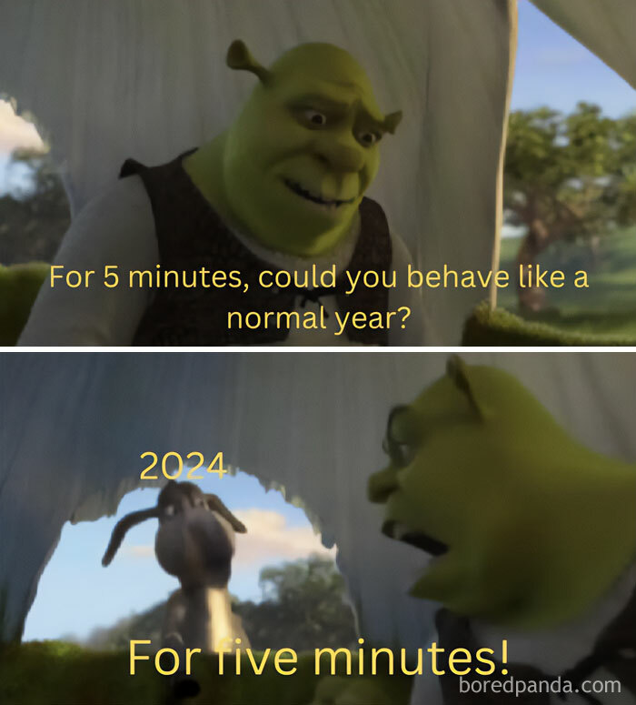 Meme of the day: The image consists of two frames from the movie "Shrek." In the top frame, Shrek is saying, "For 5 minutes, could you behave like a normal year?" In the bottom frame, Donkey is running away with the text "2024" above him, and Shrek is shouting, "For five minutes!" The meme humorously captures the frustration of hoping for a normal year amid constant chaos.