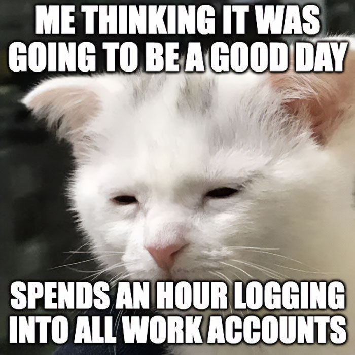 Meme of the day: The image shows a close-up of a white cat with a tired and unimpressed expression. The text at the top reads, "ME THINKING IT WAS GOING TO BE A GOOD DAY," and the text at the bottom reads, "SPENDS AN HOUR LOGGING INTO ALL WORK ACCOUNTS." The meme humorously captures the frustration of dealing with work-related login issues.