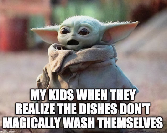 A Mom meme featuring a small green character with large ears looking surprised. The text below the image reads, "MY KIDS WHEN THEY REALIZE THE DISHES DON'T MAGICALLY WASH THEMSELVES." The meme humorously illustrates a child's reaction upon discovering that chores like washing dishes require effort and do not happen automatically.