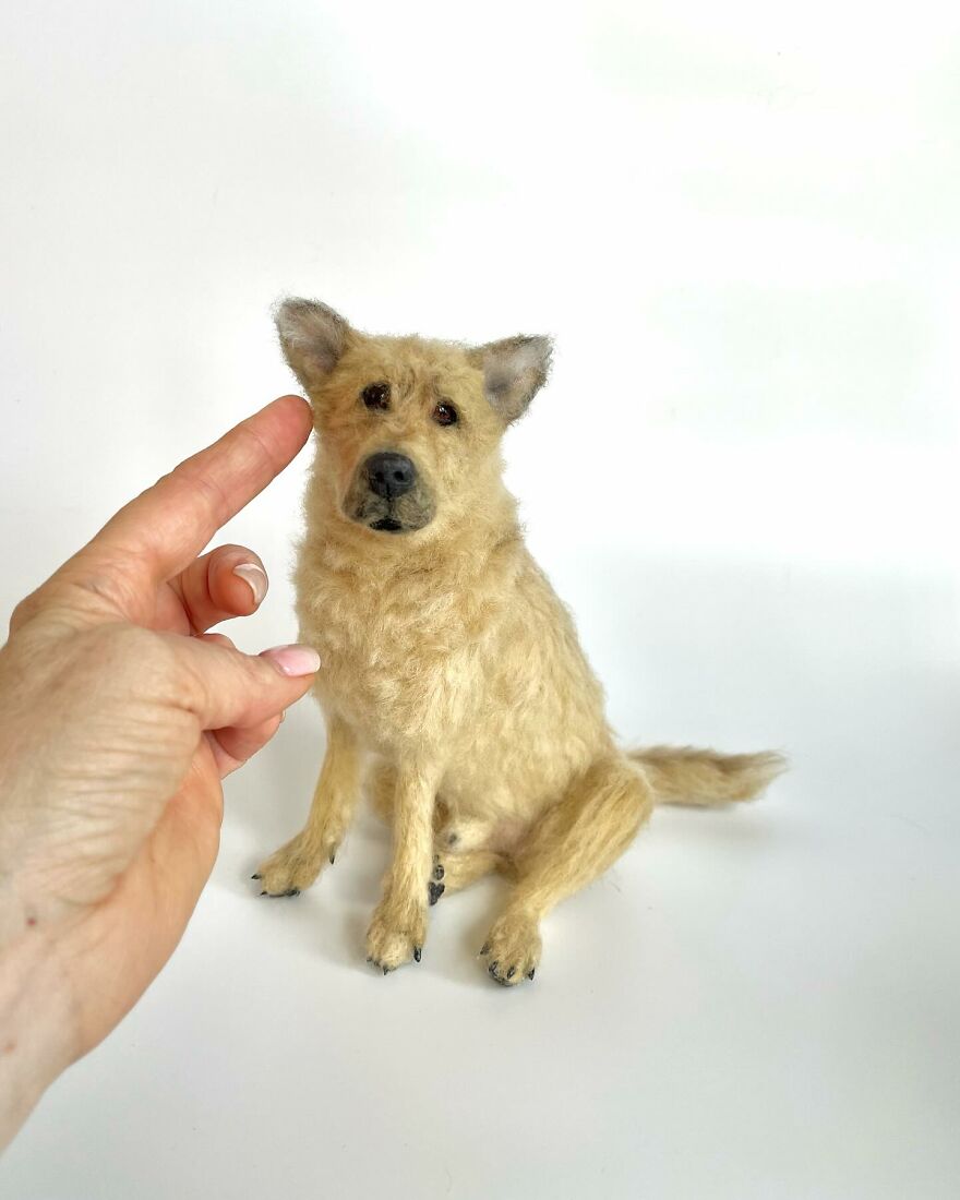 Needle-Felted Wonders: Curly Jo Hobbs Crafts Realistic Miniature Dogs And Donkeys