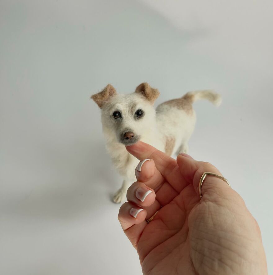 Needle-Felted Wonders: Curly Jo Hobbs Crafts Realistic Miniature Dogs And Donkeys