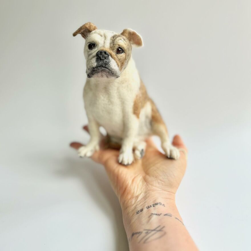 Needle-Felted Wonders: Curly Jo Hobbs Crafts Realistic Miniature Dogs And Donkeys