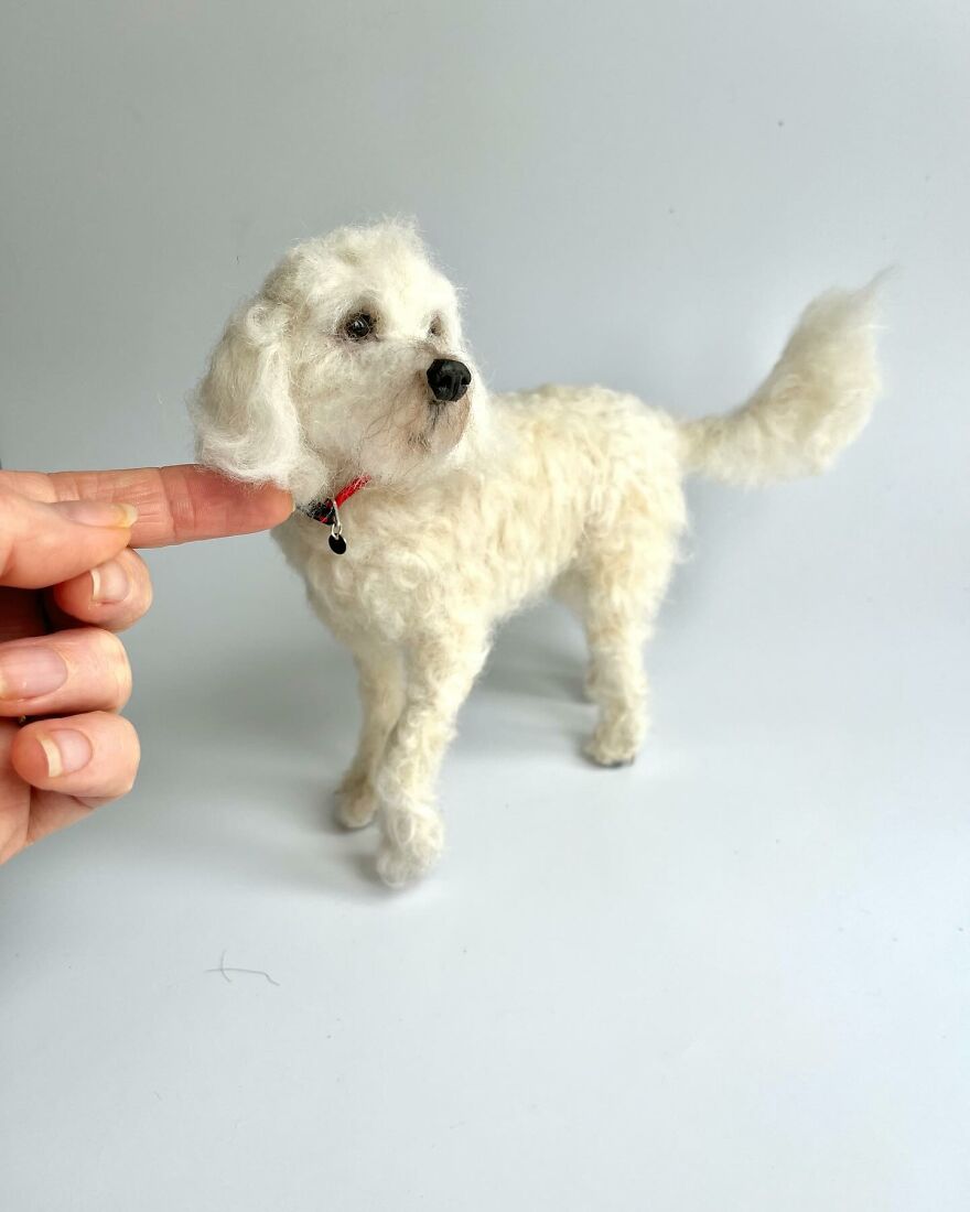 Needle-Felted Wonders: Curly Jo Hobbs Crafts Realistic Miniature Dogs And Donkeys