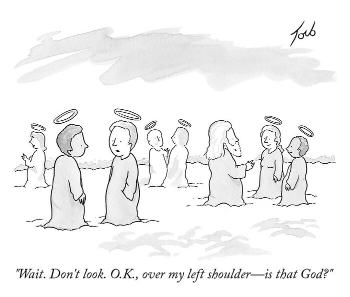 Witty One-Panel Comics By The New Yorker Cartoonist Tom Toro