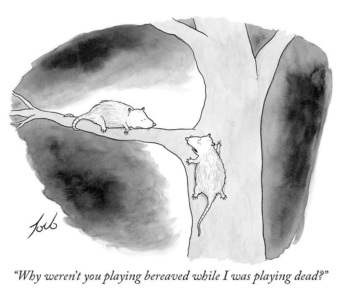 Witty One-Panel Comics By The New Yorker Cartoonist Tom Toro