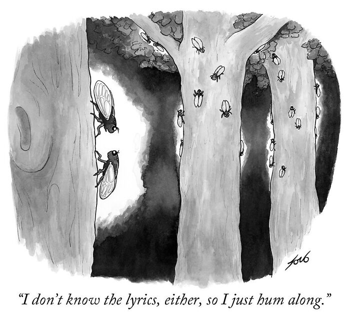 Witty One-Panel Comics By The New Yorker Cartoonist Tom Toro