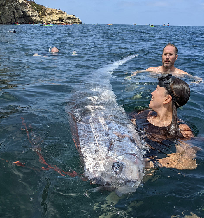 “Bad Omen”: Rare Sea Serpent Surfaces In San Diego Waters, Linked To Earthquake Legend