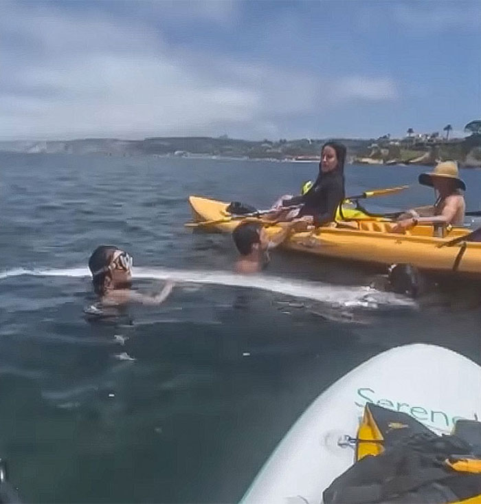 “Bad Omen”: Rare Sea Serpent Surfaces In San Diego Waters, Linked To Earthquake Legend