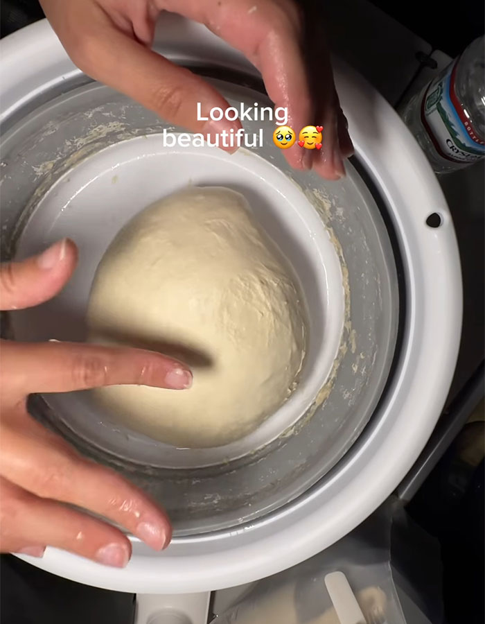 "Not The Best Idea": Influencer Apologizes After Baking Sourdough Mid-Flight