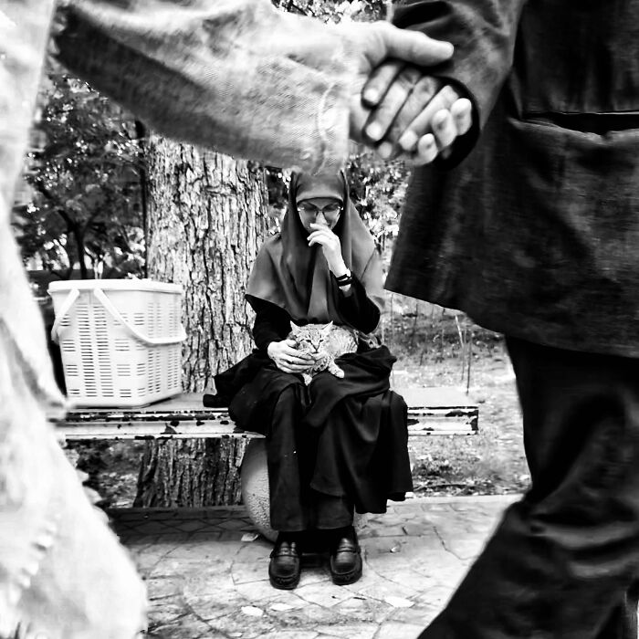 Photographer Akbar Mehrinezhad Patiently Walks The Streets Of His City Photographing Stray Cats