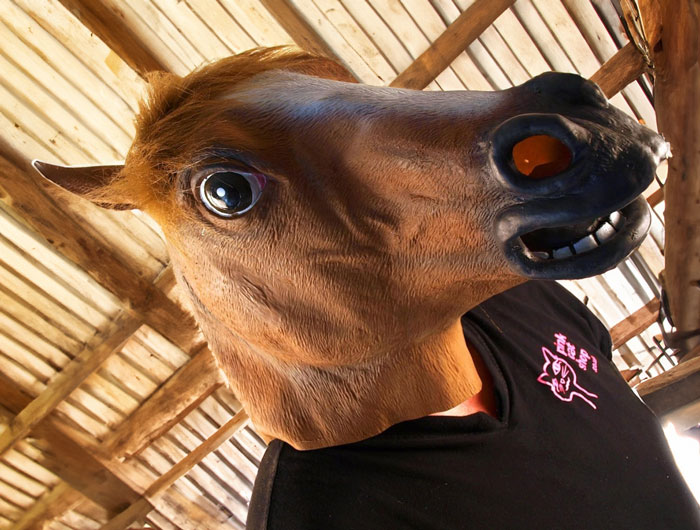 Who Knew The Answer To The Universe And Everything In It Was Actually "Horse Mask"? 