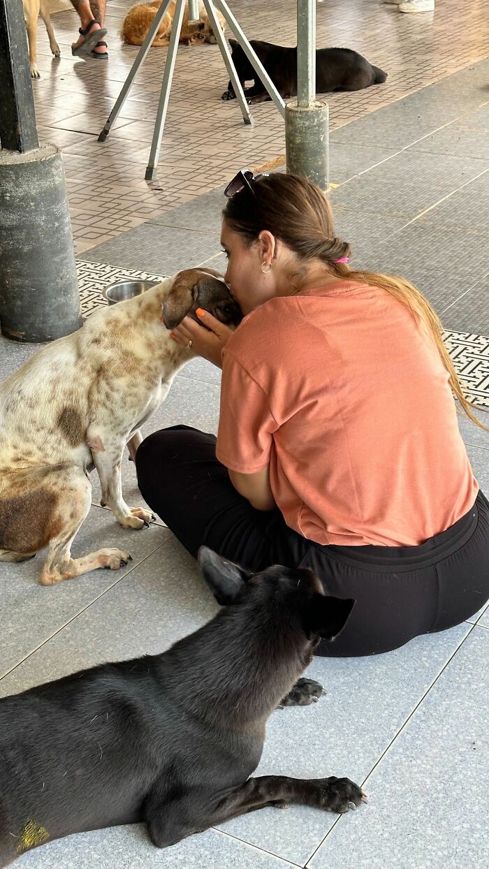 My Husband Found His Calling To Help Dogs Through My Work