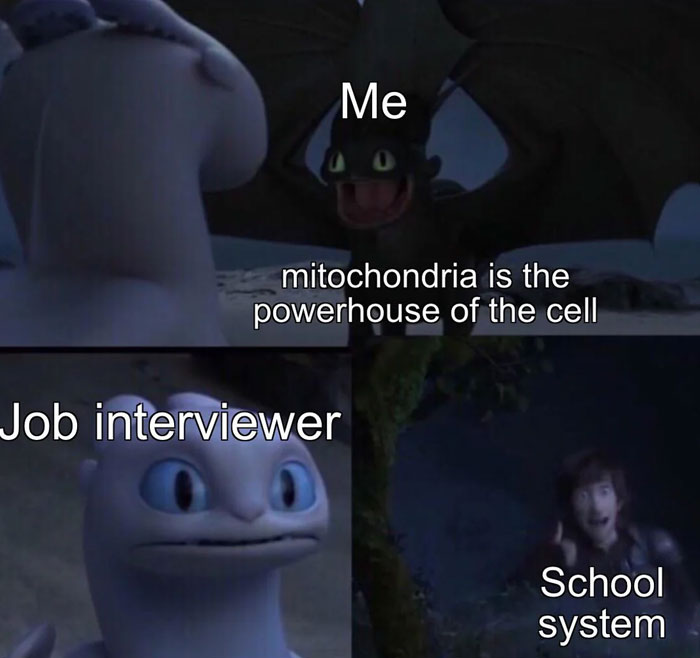 A school meme featuring characters from an animated movie. The top panel shows a character labeled "Me" with the text "mitochondria is the powerhouse of the cell." The bottom left panel shows a surprised character labeled "Job interviewer," and the bottom right panel shows a person in the background labeled "School system," appearing excited. The meme humorously critiques how schools emphasize certain facts that may not be useful in real-life situations like job interviews.