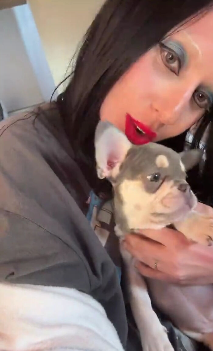 Lady Gaga Introduces New Pup Three Years After "Violent" Dognapping Horror