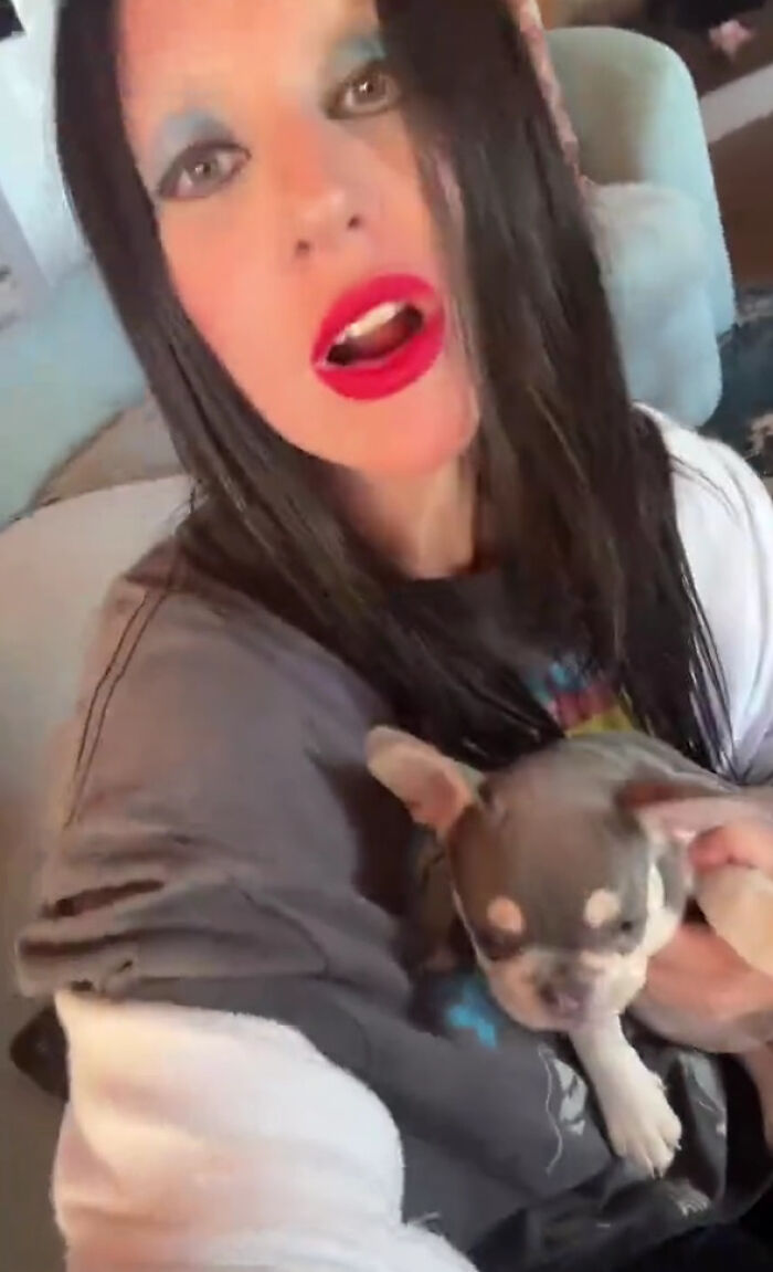 Lady Gaga Introduces New Pup Three Years After "Violent" Dognapping Horror