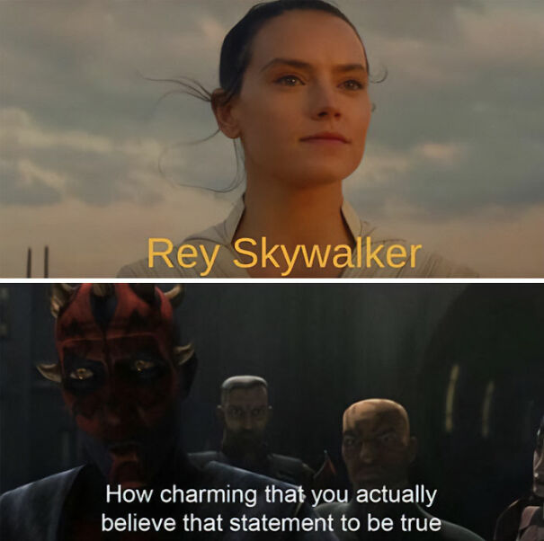 A Star Wars meme featuring two panels. The top panel shows Rey from The Rise of Skywalker looking confidently into the distance with the caption "Rey Skywalker" written in yellow text, referencing the moment when Rey adopts the Skywalker name. The bottom panel shows Darth Maul from the animated series The Clone Wars looking skeptical, with the caption, "How charming that you actually believe that statement to be true." The meme humorously critiques Rey's decision to take the Skywalker name, using Maul's sarcastic expression and quote to represent the viewpoint of fans who disagree with the choice.