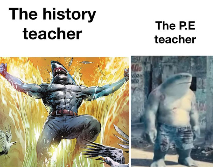 A teacher meme contrasting two different types of teachers: on the left, an illustration of a muscular, powerful shark creature bursting with energy, labeled "The history teacher," and on the right, a more relaxed, unimpressive shark character in shorts, labeled "The P.E. teacher." The meme humorously exaggerates the perceived difference in intensity between history teachers and P.E. teachers.