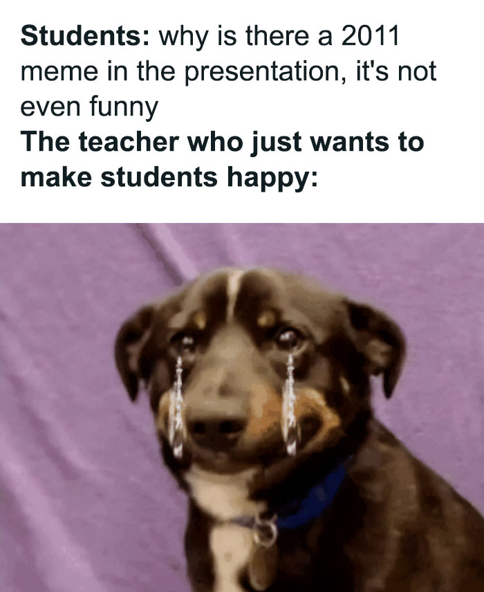 A teacher meme featuring a sad-looking dog with exaggerated tear streams, representing a teacher's reaction. The top text reads, "Students: why is there a 2011 meme in the presentation, it's not even funny." Below, it says, "The teacher who just wants to make students happy," humorously depicting the teacher's disappointment at failing to connect with students through outdated memes.