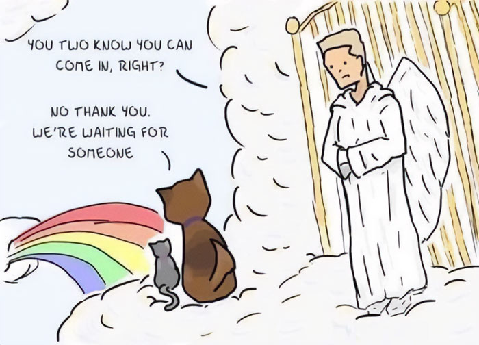 A Waiting meme showing an angel with wings standing next to a gate in the clouds, looking at a cat and a dog sitting side by side, facing a rainbow. The angel says, "You two know you can come in, right?" The cat responds, "No thank you. We're waiting for someone." The scene suggests the pets are in heaven, waiting for their owner.