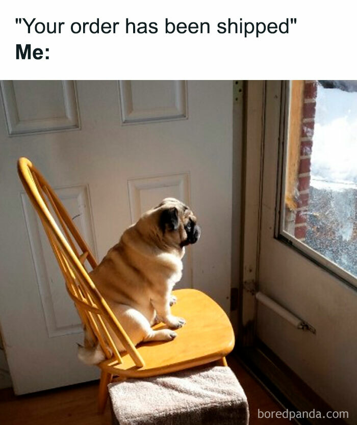 A Waiting meme showing a pug sitting upright on a chair, looking out of a glass door as if waiting for something. The text above reads, "'Your order has been shipped' Me:" humorously illustrating the anticipation and eagerness felt while waiting for a package to arrive, using the dog's posture to convey the emotion of expectant waiting.