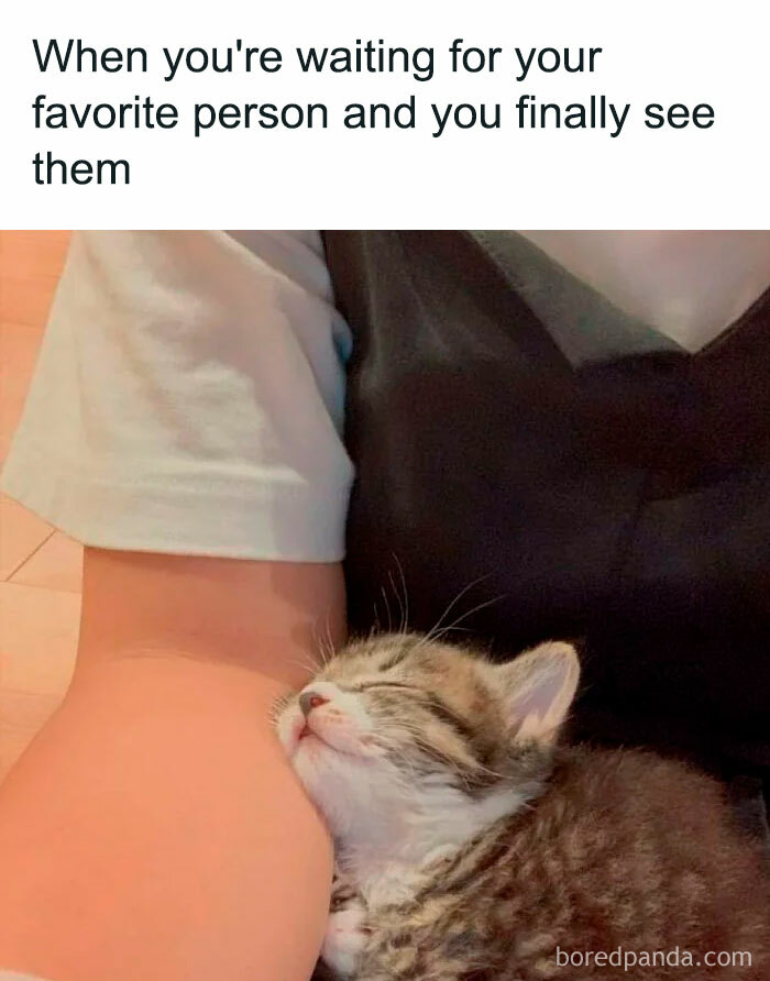 A Waiting meme featuring a small kitten resting its head contentedly against a person's arm, eyes closed in relaxation. The text above reads, "When you're waiting for your favorite person and you finally see them," humorously expressing the joy and comfort of being reunited with a loved one, mirrored in the kitten's peaceful expression.