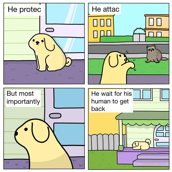 A Waiting meme in a four-panel comic format featuring a simple cartoon dog. The first panel reads "He protec," showing the dog looking alert by a door. The second panel reads "He attac," with the dog barking at a raccoon. The third panel says, "But most importantly," with the dog sitting patiently by the door. The final panel reads, "He wait for his human to get back," depicting the dog lying down, waiting outside a house. The meme humorously showcases the dog's loyalty and patience while waiting for its owner.